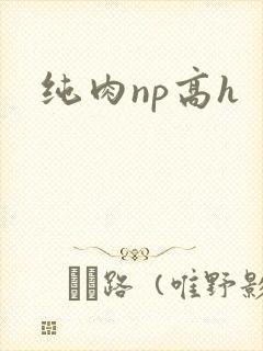 纯肉np高h封面