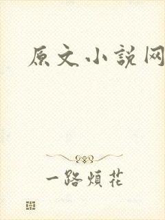 原文小说网