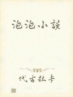泡泡小说封面