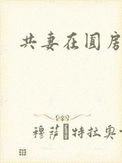 共妻在圆房3p
