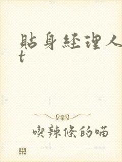 贴身经理人txt封面