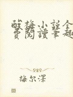酸梅小说全文免费阅读笔趣阁