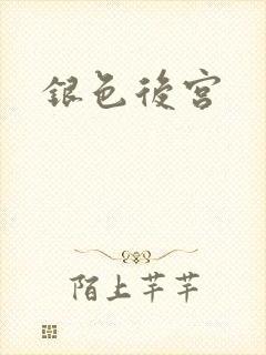 银色后宫