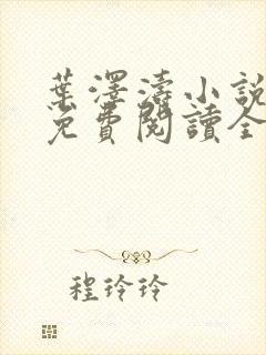 叶泽涛小说全文免费阅读全文封面