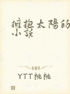 拥抱太阳的月亮小说
