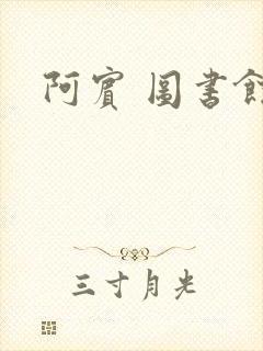 阿宾 图书馆