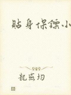 贴身保镖小说