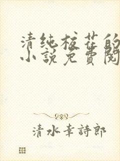 清纯校花的秘密小说免费阅读