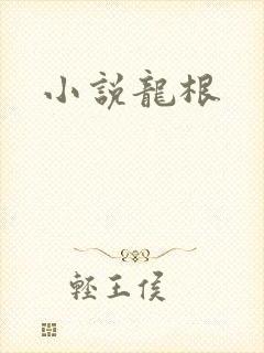 小说龙根