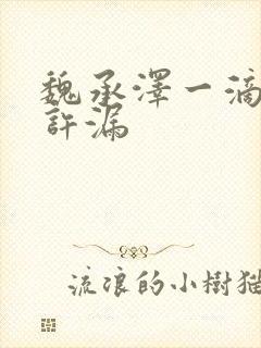 魏承泽一滴都不许漏封面