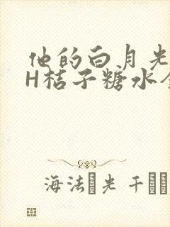 他的白月光HVH桔子糖水全文