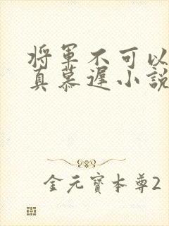 将军不可以魏云真慕迟小说笔趣阁