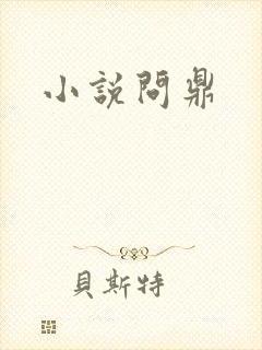 小说问鼎
