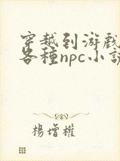 穿越到游戏里和各种npc小说封面