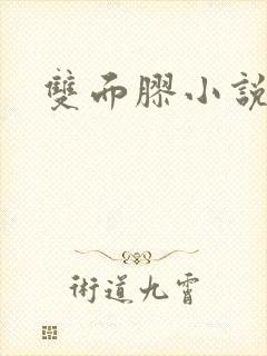 双面胶小说