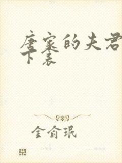 唐家的夫君们帘下衾