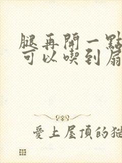 腿再开一点我就可以吃到扇贝了