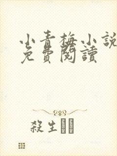 小青梅小说全文免费阅读封面