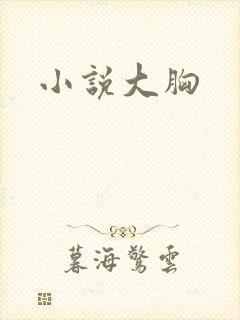小说大胸
