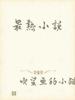 最热小说