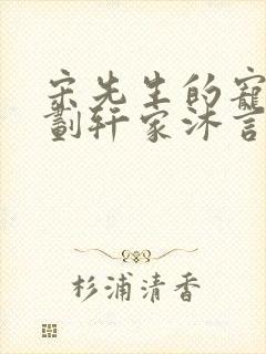 宋先生的宠妻计划轩家沐言