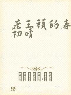 老王头的春天林初晴