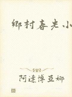 乡村春光小说