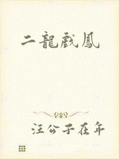二龙戏凤