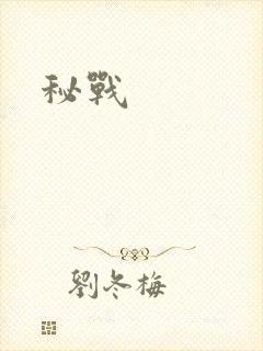 秘战