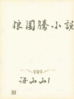 狼图腾小说