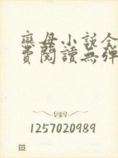 恋母小说全文免费阅读无弹窗笔趣阁