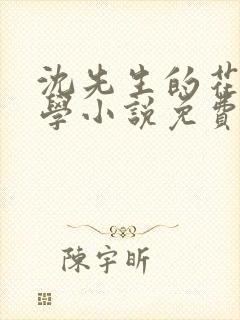 沈先生的花式教学小说免费
