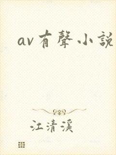 av有声小说