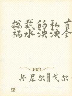 总裁的私有宝贝祸水泱泱全文阅读封面