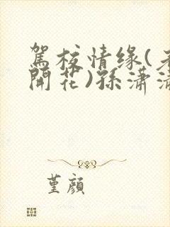 书籍封面