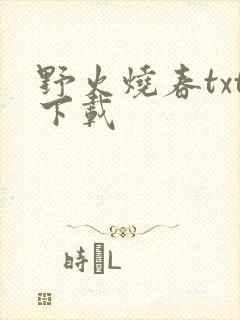野火烧春txt下载