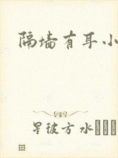 隔墙有耳小说