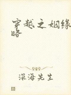 穿越之姻缘劫攻略封面