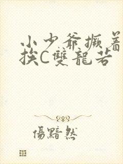 小少爷撅着屁股挨C双龙若封面