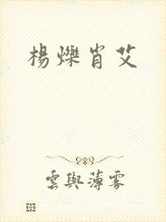 杨烁肖艾