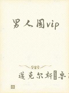 男人团vip