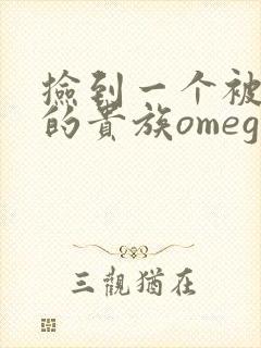 捡到一个被抹布的贵族omega封面