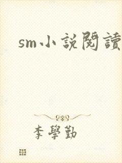 sm小说阅读
