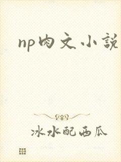 np肉文小说