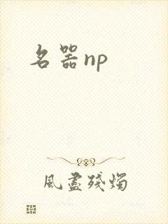 名器np