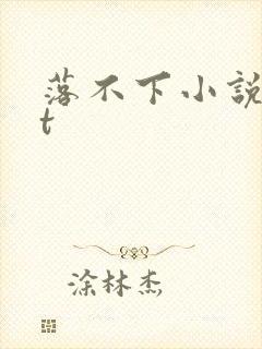 落不下小说txt