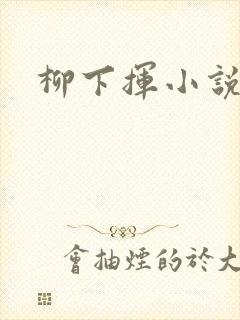 柳下挥小说封面