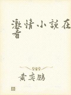 激情小说在线观看