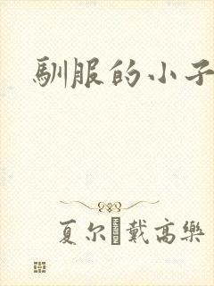 驯服的小子4封面