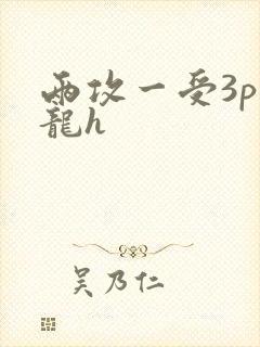 两攻一受3p双龙h